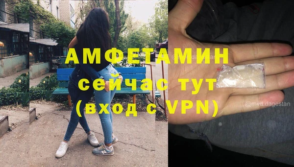 гидра Волоколамск