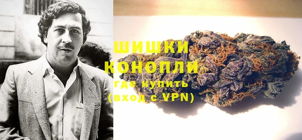 гидра Волоколамск