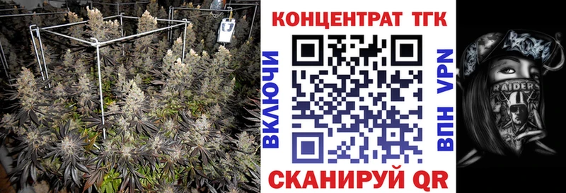 hydra ONION  Макаров  ТГК Wax 